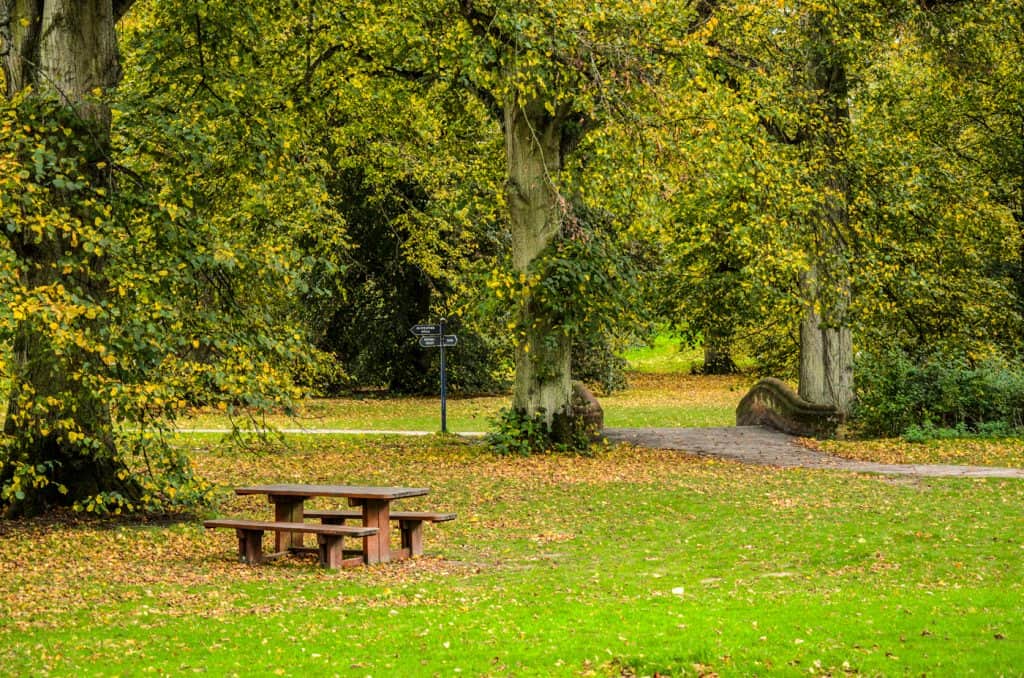 Sunny day in Nowton Park in Bury St Edmunds. 