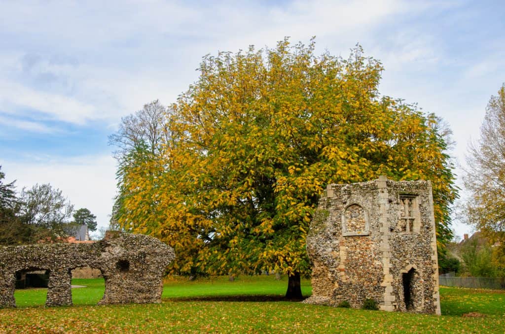 Ruins of old Abbey in Bury St Edmunds Cathedral park.