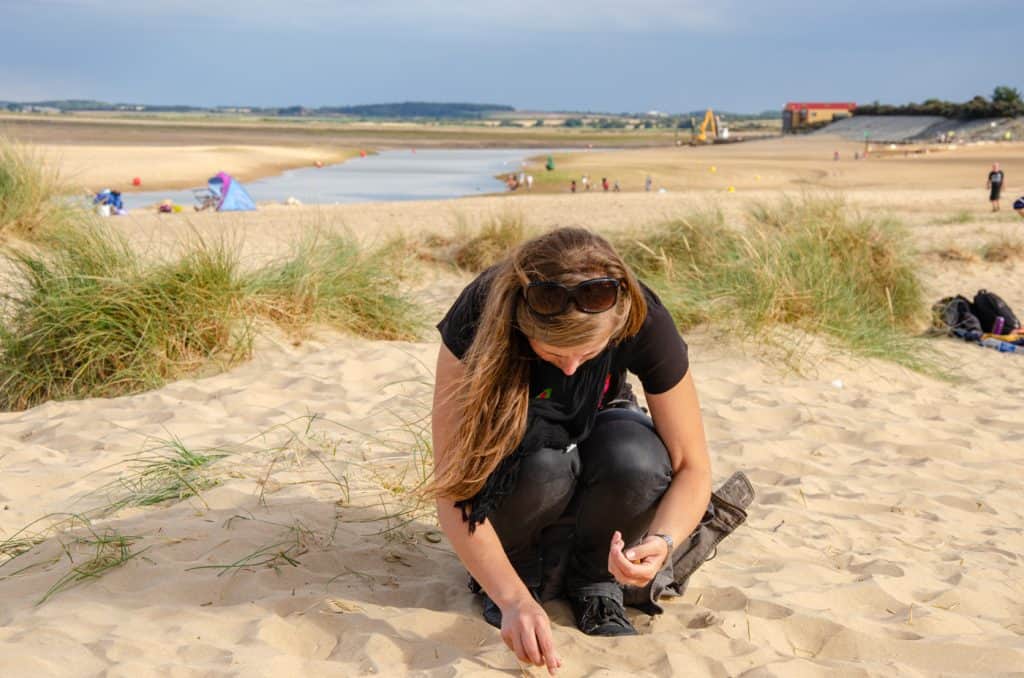 Lady collecting seashells on a beach in North Norfolk.