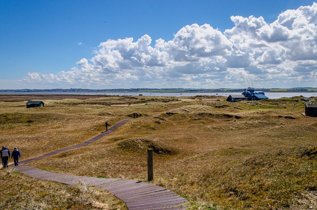 A footpath through a beautiful Norfolk nature. Seals trips Norfolk.