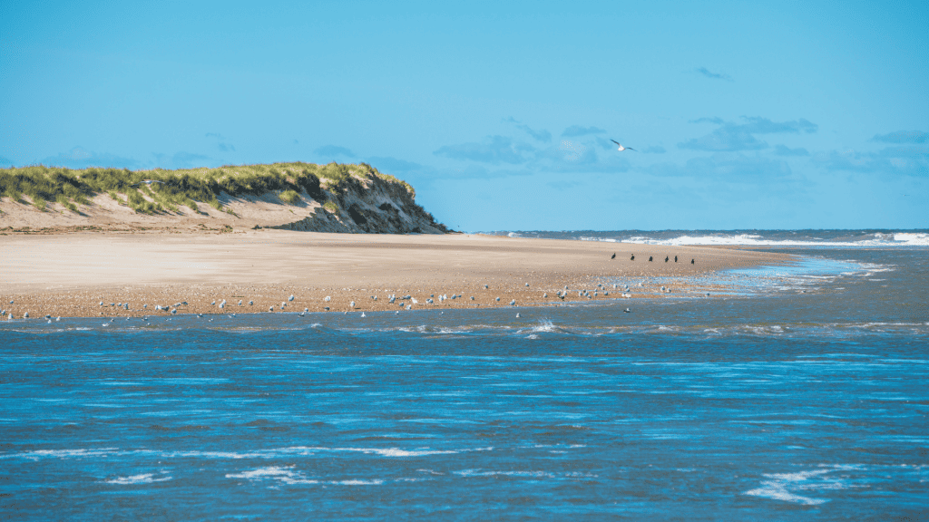 View at the Scolt Head Island in North Norfolk.