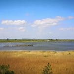 View at the Broads National Park in East of England.