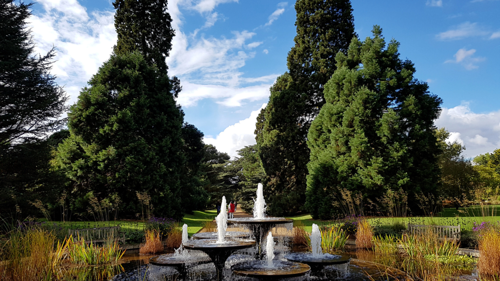 View at the Botanic Garden in Cambridge, on of the must do activities in Cambridge.