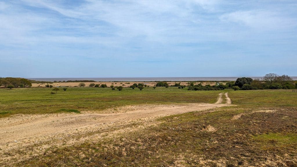 View at the Minsmere RSPB Nature Reserve in Suffolk Coast and Heaths AONB.