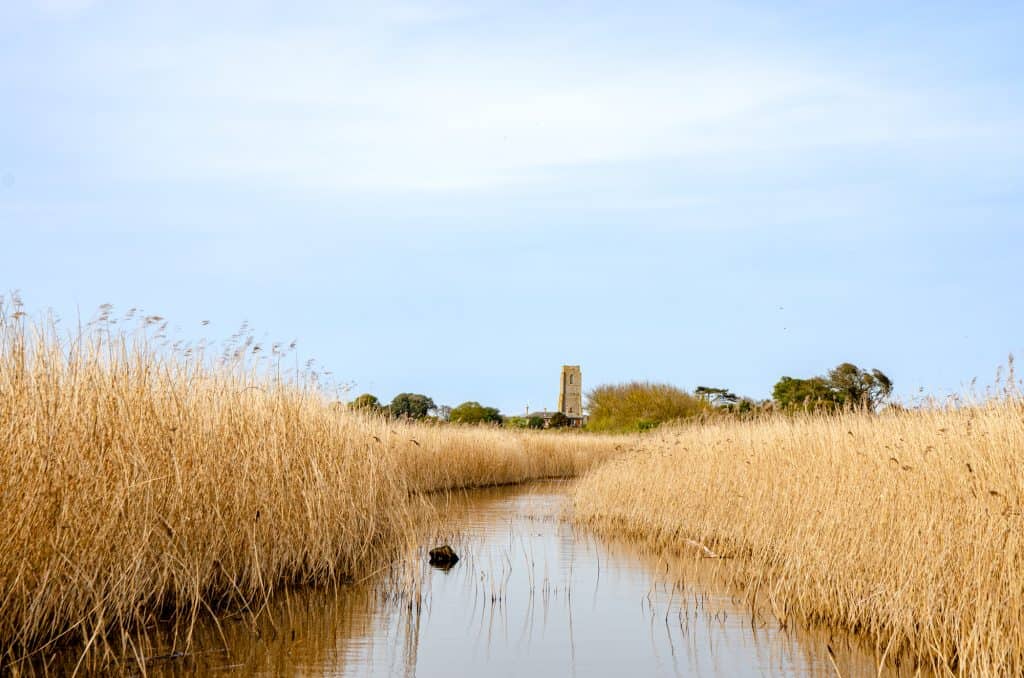 Views near the Covehithe beach in Suffolk Coast and Heaths AONB.