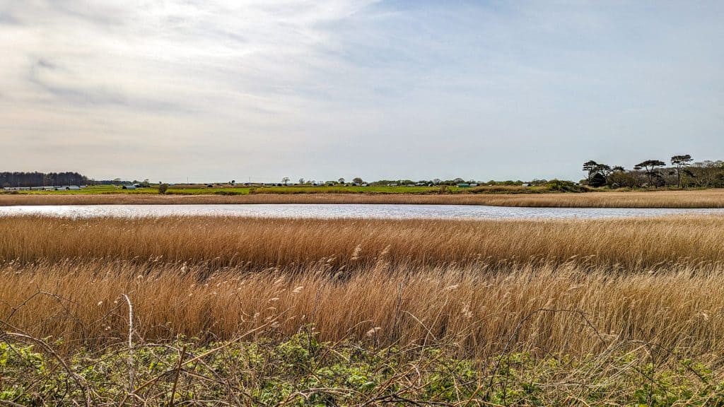 Views near the Covehithe beach in Suffolk Coast and Heaths AONB.