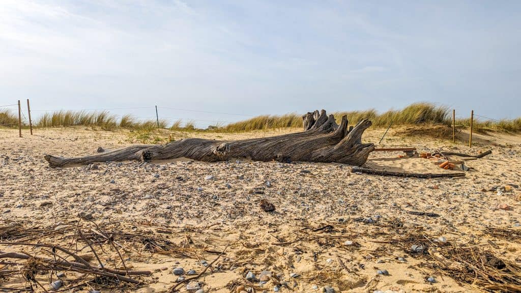 View at the Covehithe beach, one of the best beaches in Suffolk.
