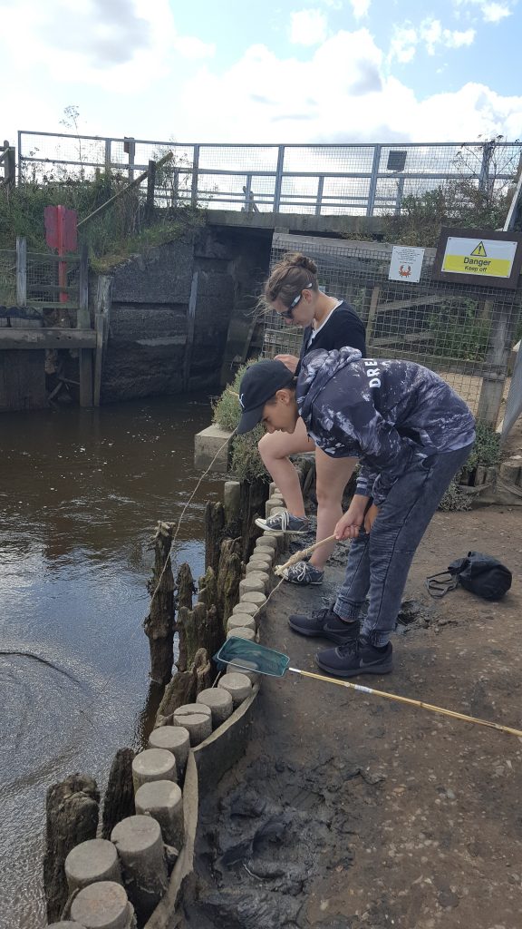 2 people crabbing in Walberswick, one of the best things to do on Suffolk Coast.