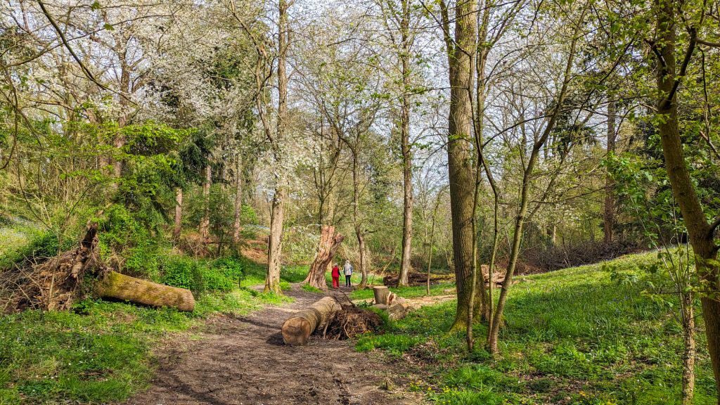 Old couple walking in the Arger Fen nature reserve in Dedham Vale.