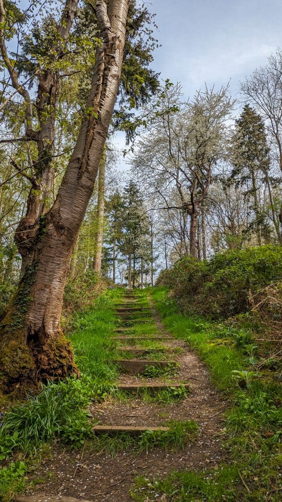 Steps in the Arger Fen nature reserve in Dedham Vale.