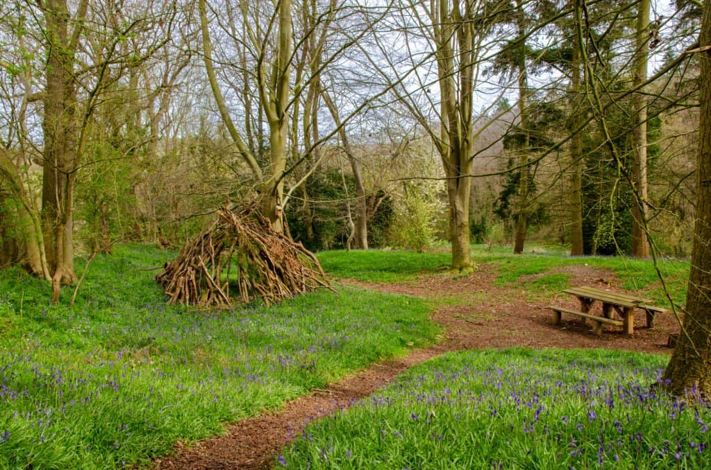 Relaxing area in the forest in Arger Fen Nature Reserve in Dedham Vale.