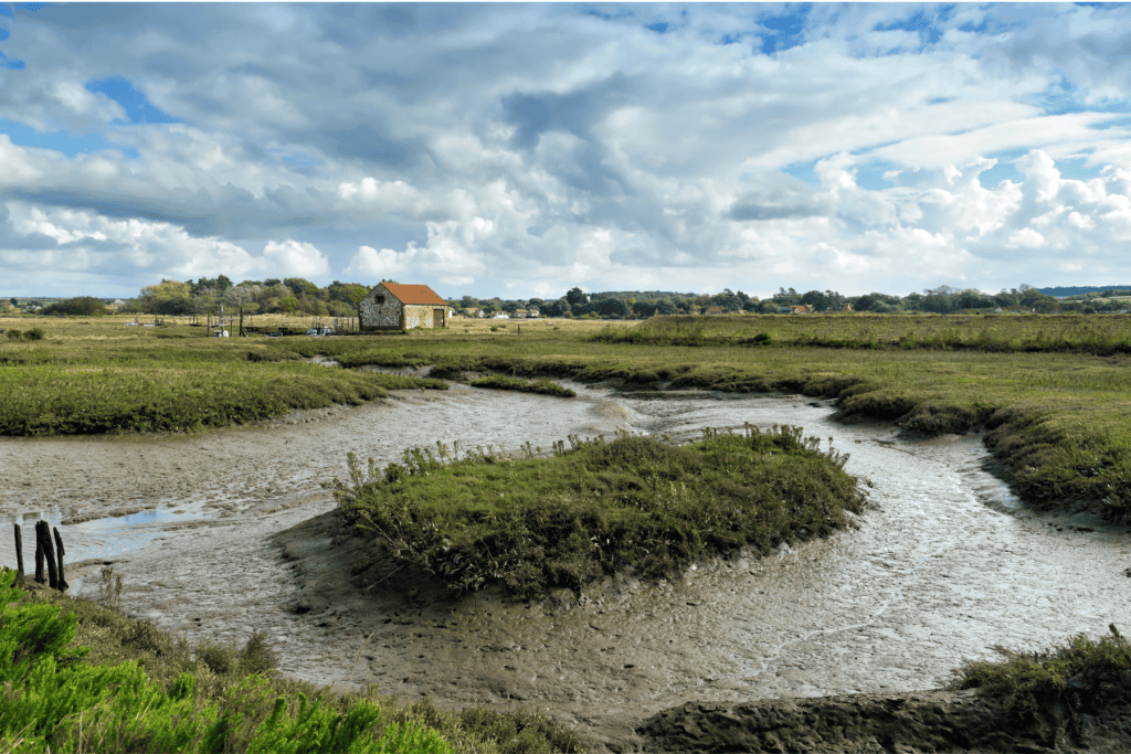 View at the Thonham Marshes landscape in Norfolk Coast AONB.