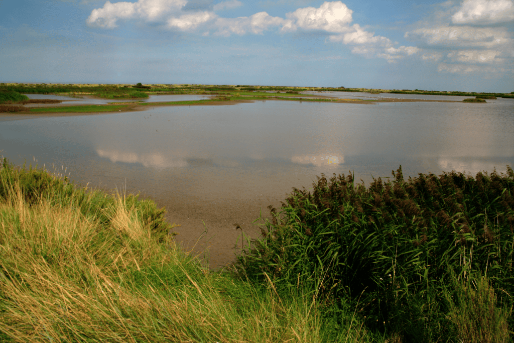 View at the waters in Titchwell Marsh in Norfolk Coast AONB.