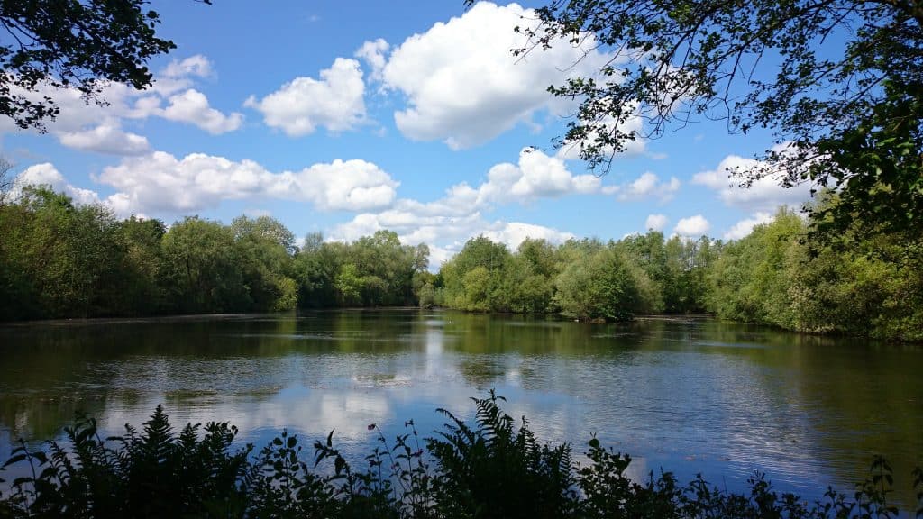 Dedham Vale AONB in Summer.