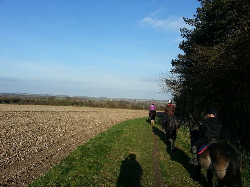 Horse riding in Norfolk. 