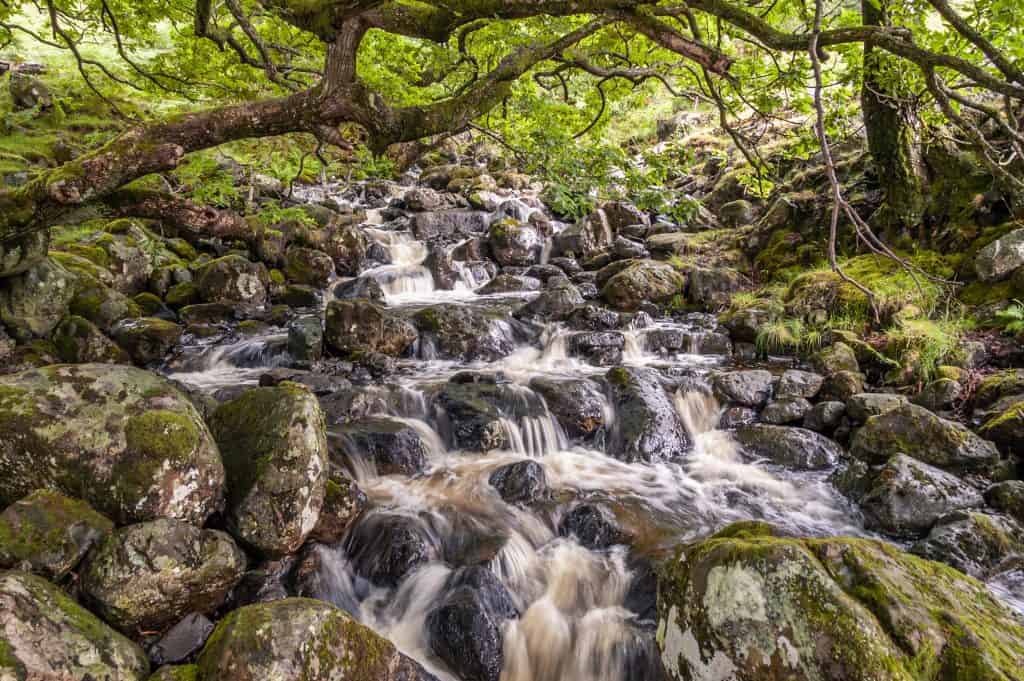 View at the Barrow Beck river in the Lake District.