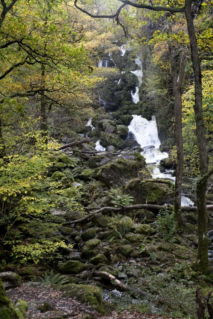 View at the Lodore Falls in the woodland in Lake District.