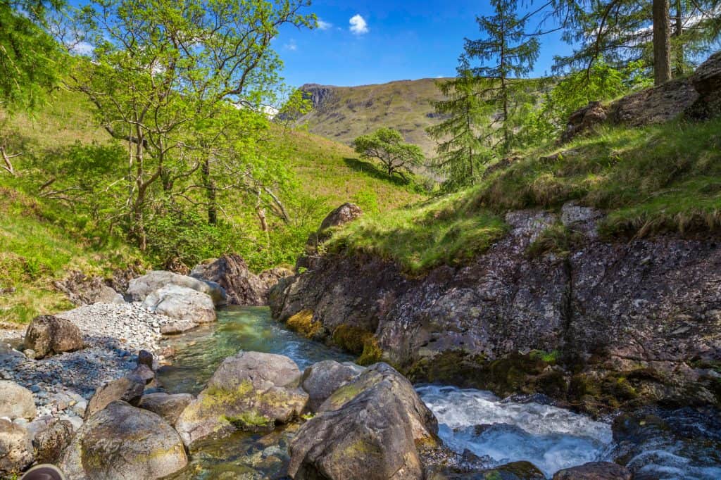 River and trees near the Ritson's Force.
