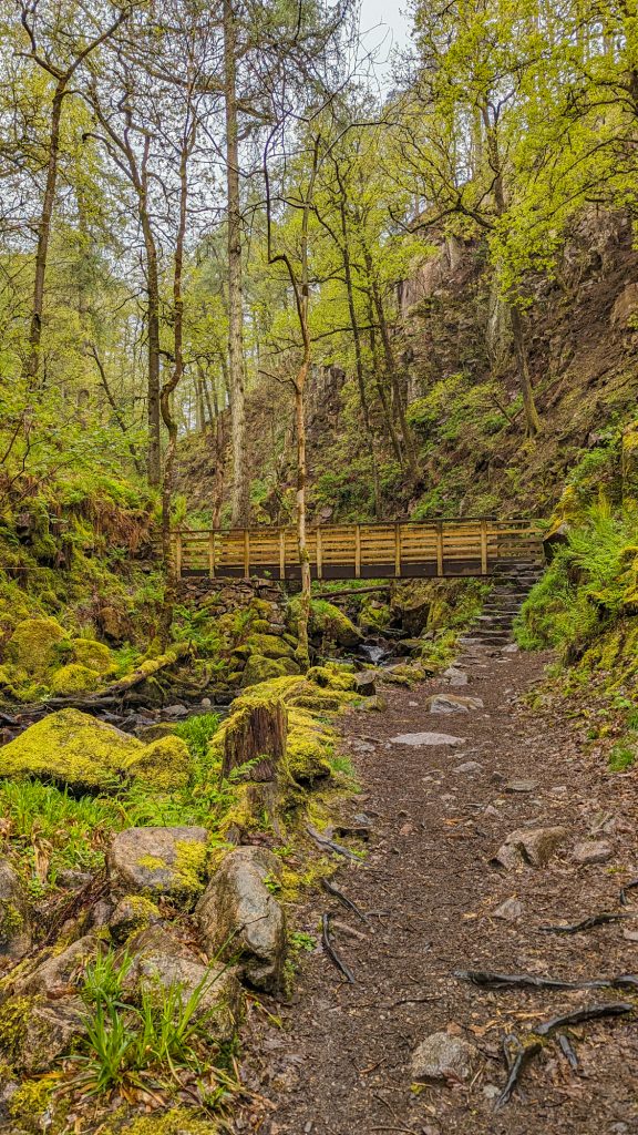 A bridge across a river in the woodland near Stanley Ghill waterfall.