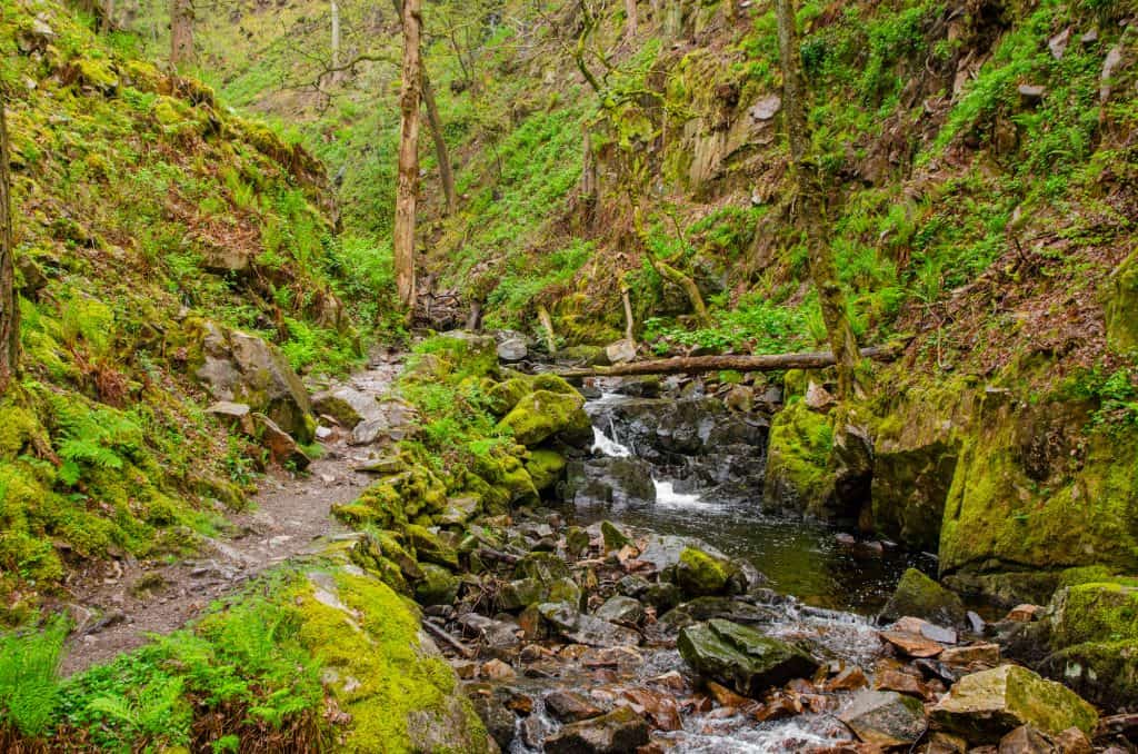 A river in the woodland near Stanley Ghill waterfall.