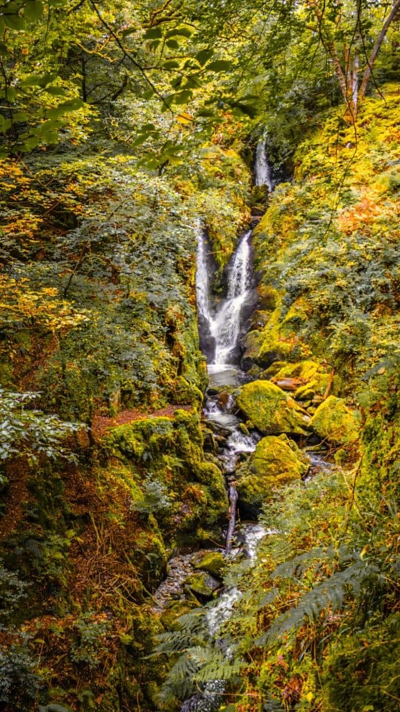 View at the Stock Ghyll Force waterfall with trees and greenary.