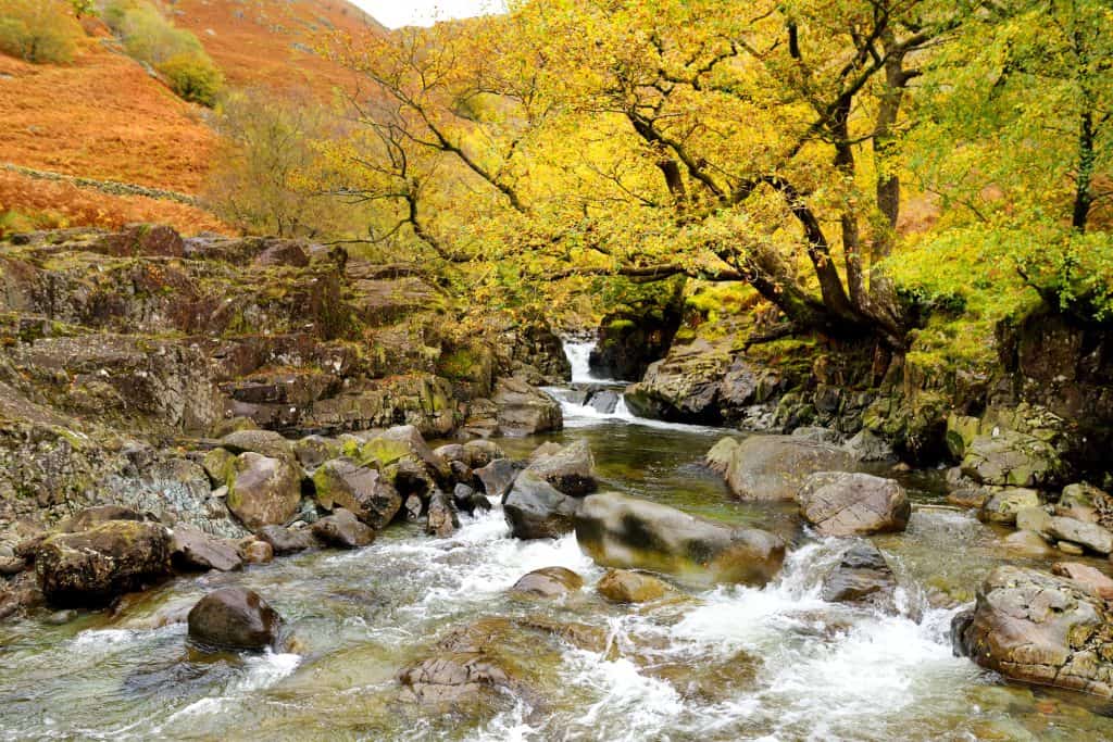 Autumn view at the Stonethwaite Beck.