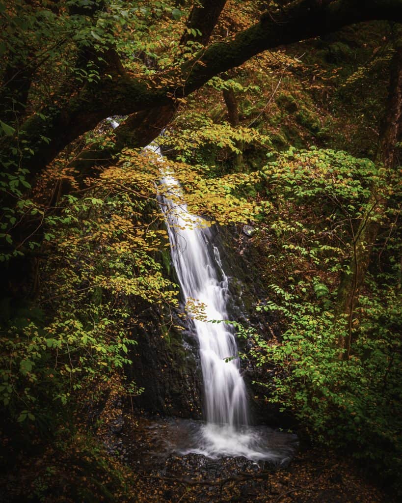 Tom Gill waterfall in autumn.