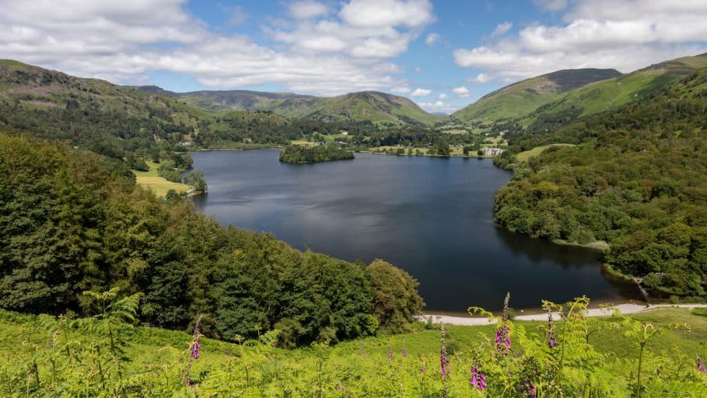 View at a lake with green hills and forest on a sunny day in Lake District.