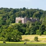 View at the Muncaster Castle with forest and cows.