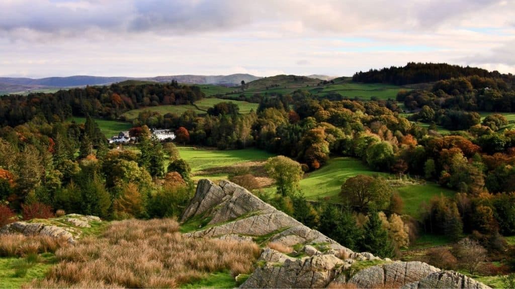View at hills covered with forest.