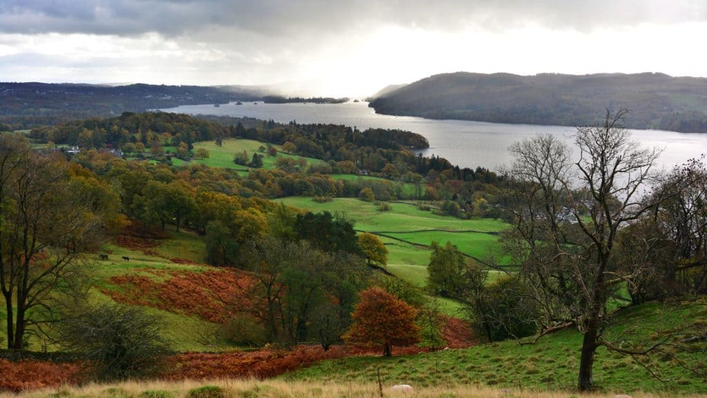 Lake with trees in autumn.