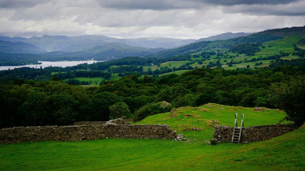 Windermere viewpoint in summer showing a lush greenery.