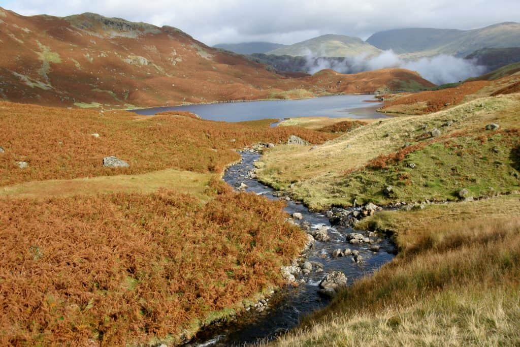 Creek with lake, hills covered in autumn colours and fog at back.