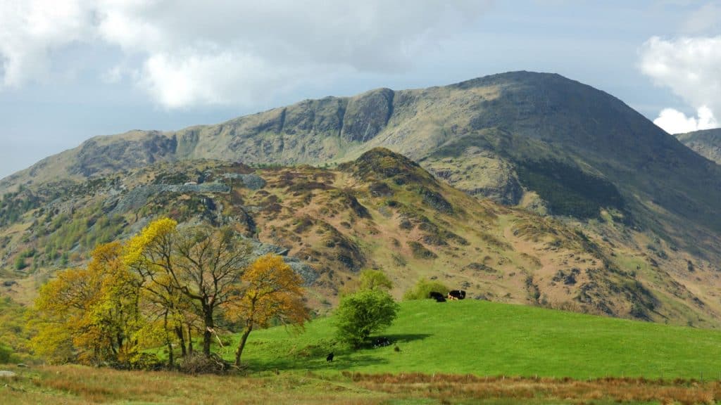 A mountain with trees in autumn.