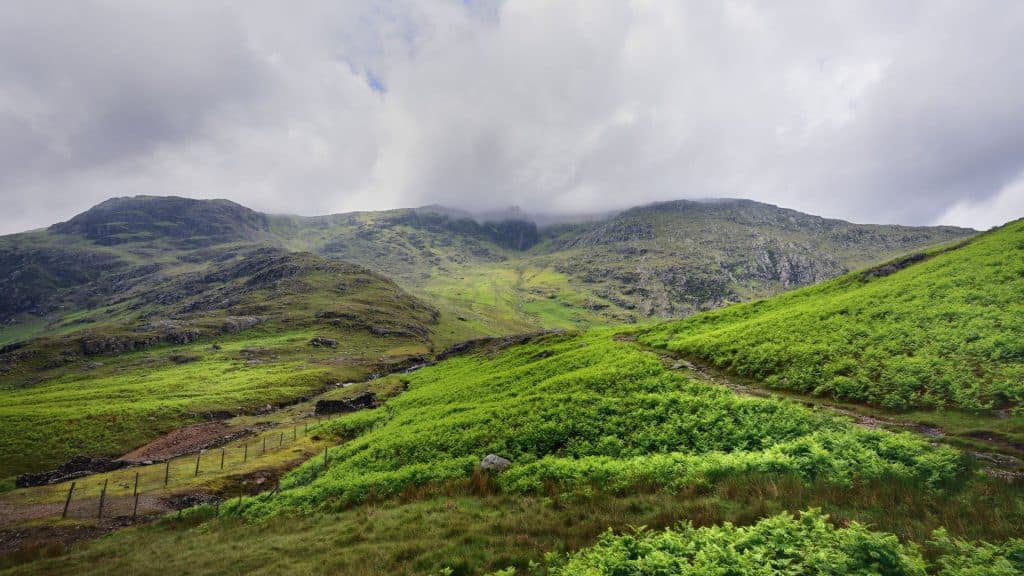 View at green mountains.