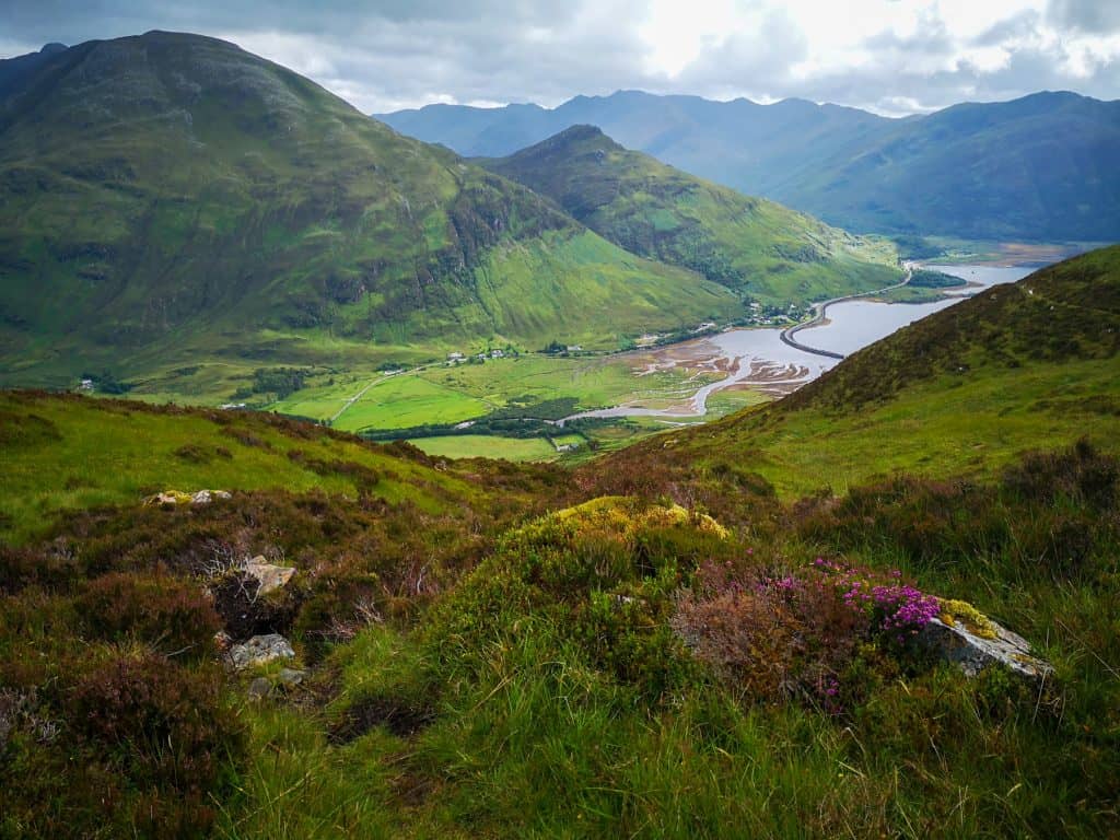 Hiking in Scotland near the Isle of Skye, view at a lake, green mountains and flowers in summer.