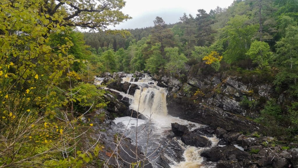View at the Rogie Falls in Scotland with trees during summer.