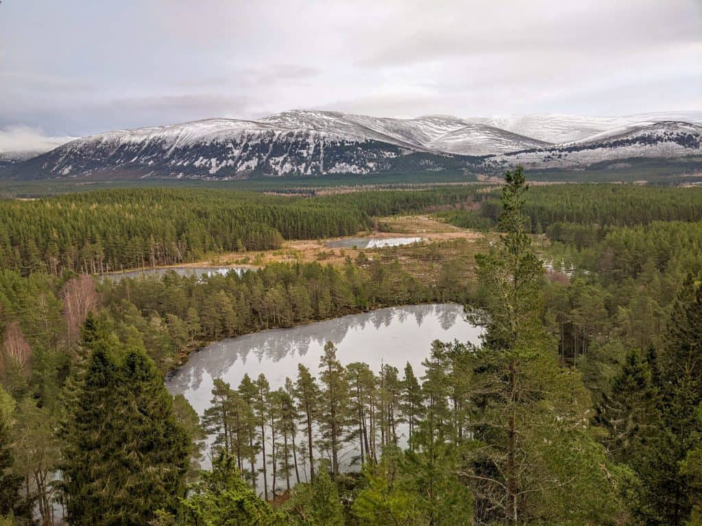 View from a viewpoint at a forest with small frozen lakes and mountains at back covered in snow.
