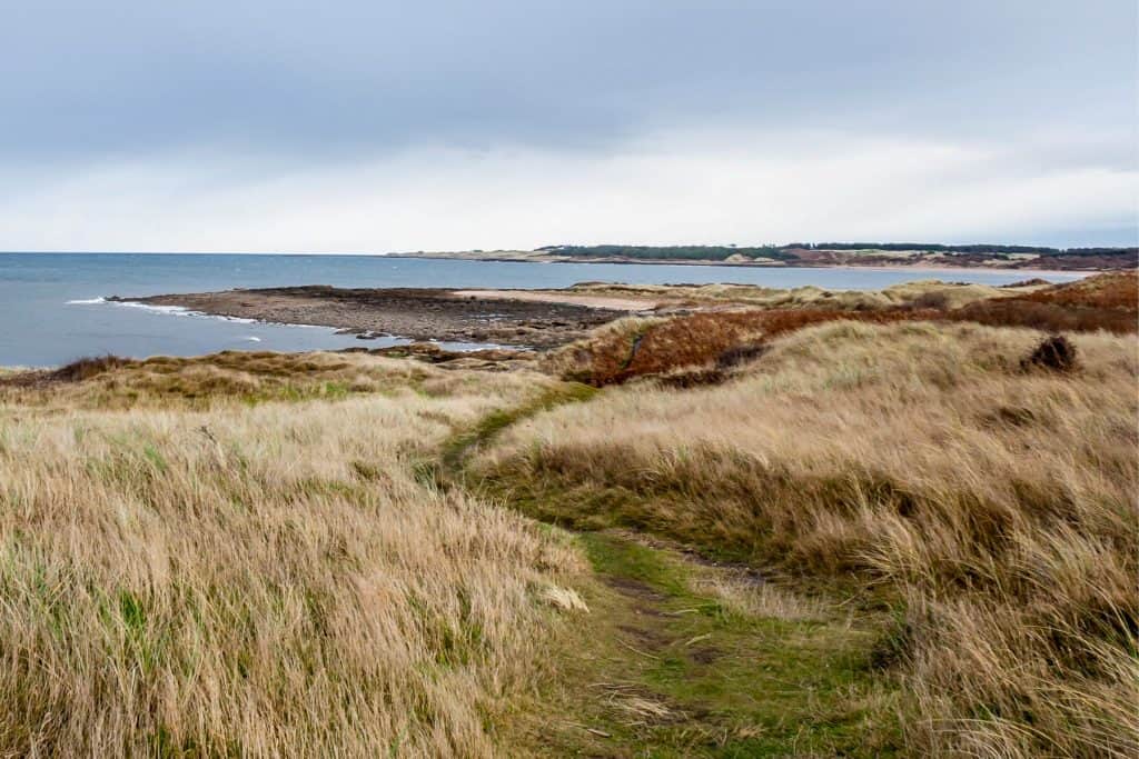 A view at the Aberlady nature reserve in Scotland with wesland and sea.