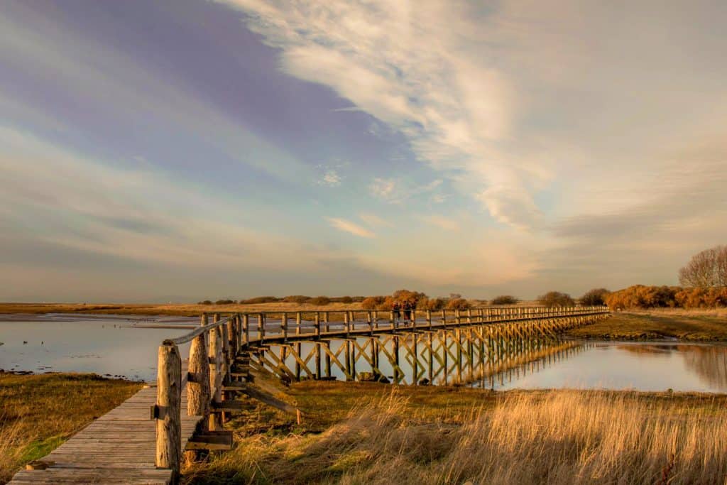 A view at a wooden bridge in the Aberlady Nature Reserve in Scotland.