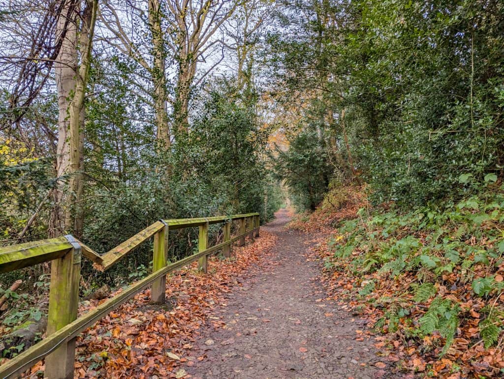 River Walk path in Durham in winter.