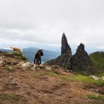 Vising Isle of Skye with dogs - two dogs at the Old Man of Storr in summer.
