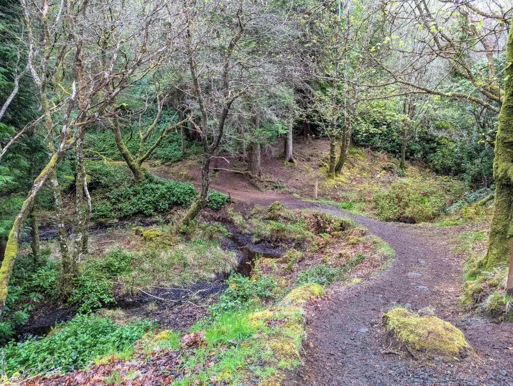 Aros Park waterfall trail with trees.