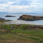 Viewpoint at the Kilvickeon Beach on Isle of Mull with cows and mountains at back. It's one of the most beautiful Isle of Mull beaches. The Isle of Mull hides some of Scotland’s most beautiful beaches, where white sand and turquoise water meet wild Atlantic landscapes.