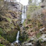Pistyll Rhaeadr waterfall with trees in early spring, one of the best waterfalls in North Wales. North Wales is home to some of the most dramatic waterfalls in the UK, many hidden along scenic forest and mountain walking routes.