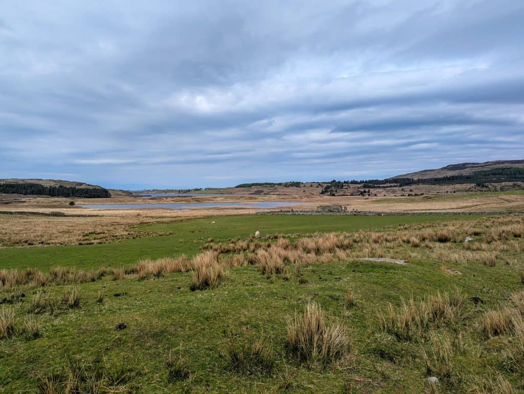 Trail to the Scoor Beach and Kilvickeon Beach on Isle of Mull with a lake and sheep.