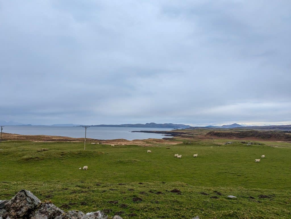 Views at a sea and sheep on a cloudy day.
