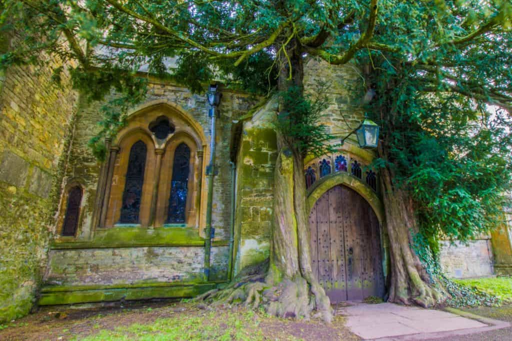 View at a medieval wooden door with old trees and cottage.