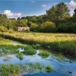 A trail around a river with trees and old cottages. The Cotswolds offers some of England’s most picturesque walking routes, winding through rolling hills, honey-coloured villages and quiet countryside.