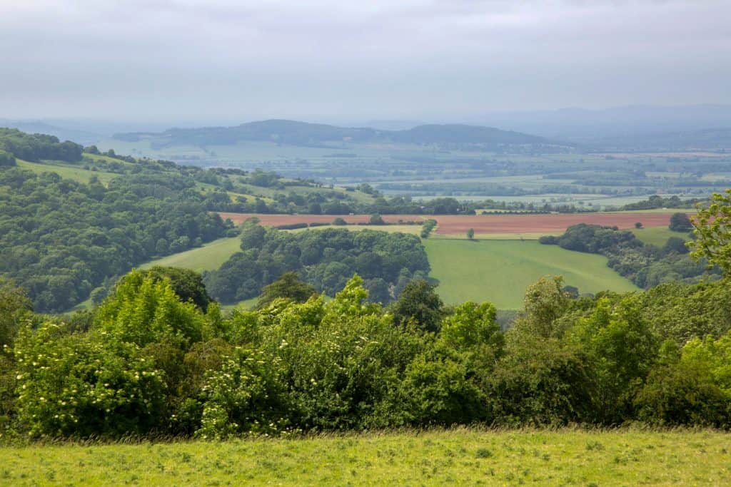 View from a tower to fields and woodlands in Cotswolds.